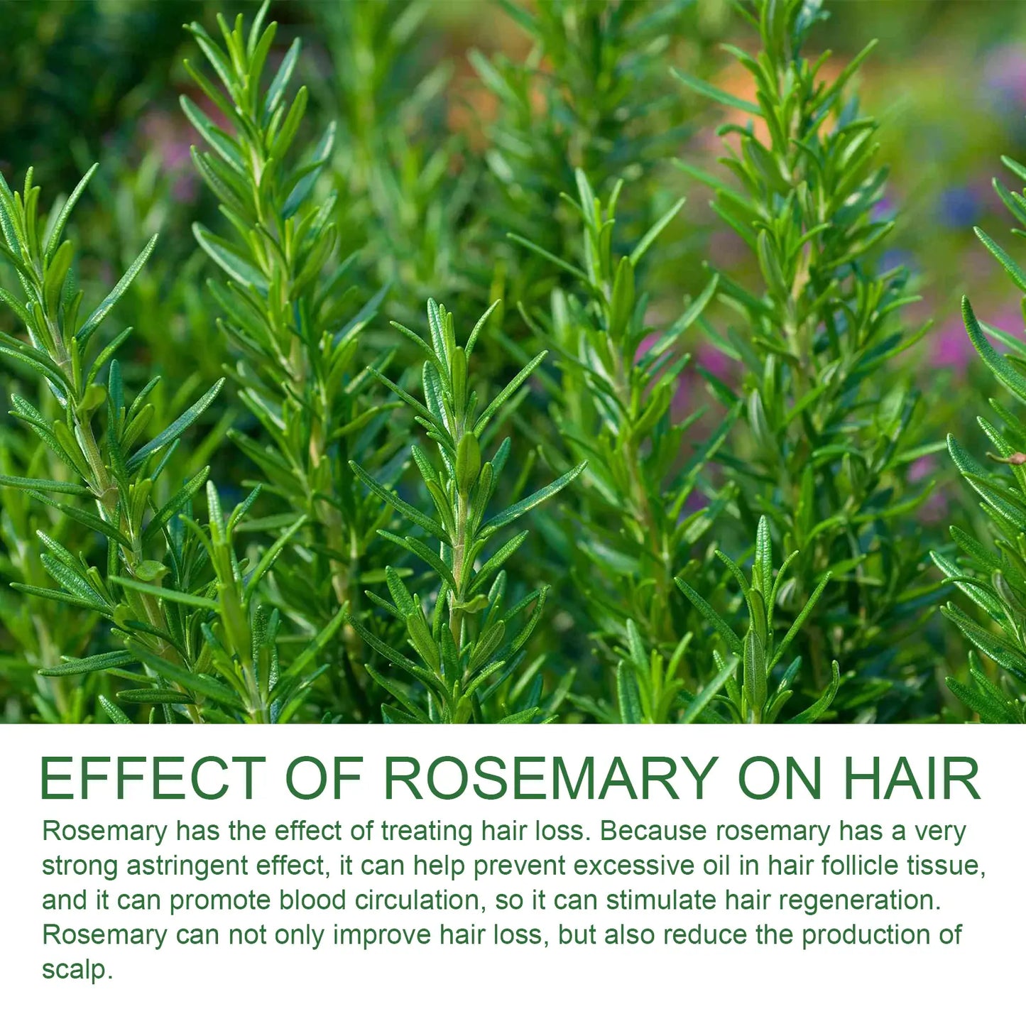 Jaysuing Rosemary Shampoo – Anti-Hair Loss, Oil Control, Volumizing & Smoothing