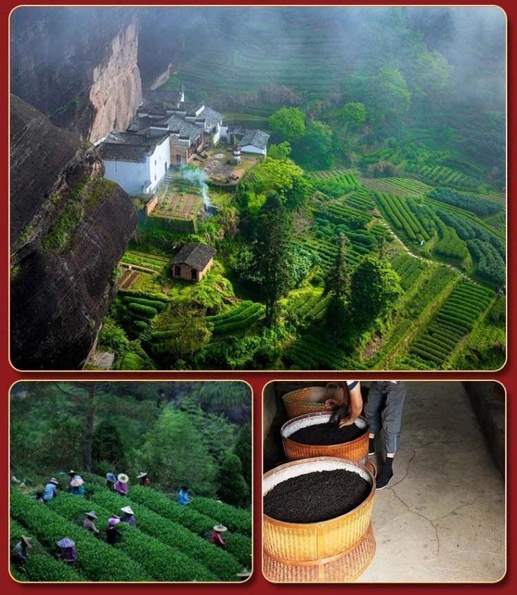 Premium Rose Black Tea - Floral Infused Loose Leaf