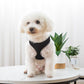 Pet Dog Walking Leash Vest-style Harness