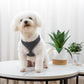 Pet Dog Walking Leash Vest-style Harness