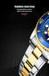 CURREN Men's Skeleton Quartz Watch – Two-Tone Stainless Steel Diver Style