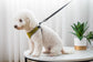 Pet Dog Walking Leash Vest-style Harness